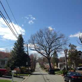 Photo of Westwood Boulevard