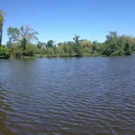 Photo of Washington Park