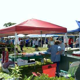 Photo of Madison City Farmers Market