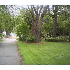 Photo of Denny Park