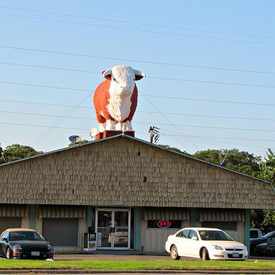 Photo of Chuy's 5