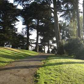 Photo of Alamo Square Park