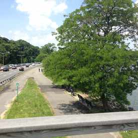 Photo of Cross Island Pkwy