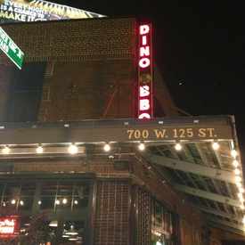 Photo of Dinosaur Barbecue