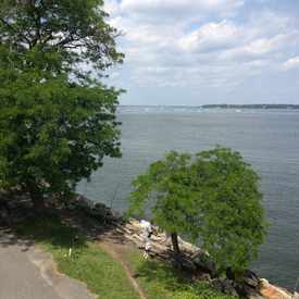 Photo of Cross Island Pkwy
