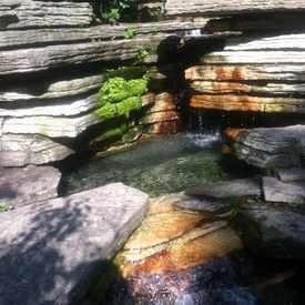 Photo of Alfred Caldwell Lily Pool