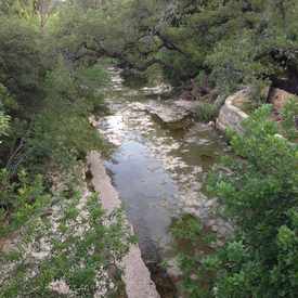 Photo of Pease Park
