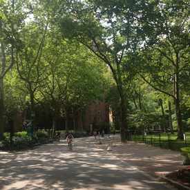 Photo of Stuyvesant Town Oval
