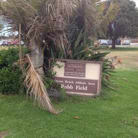 Photo of Robb Field Skateboard Park
