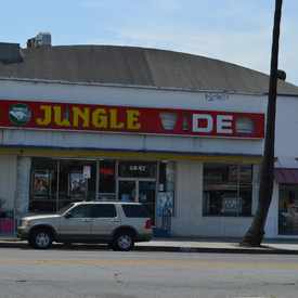 Photo of Jungle Video