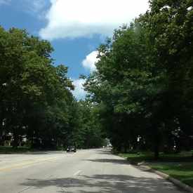 Photo of West Blvd
