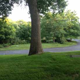 Photo of Graceland Cemetery