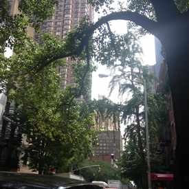 Photo of Murray Hill