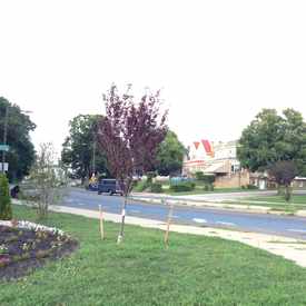 Photo of Harpers Hollow Park