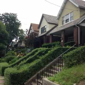 Photo of Shady Ave