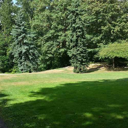 photo of Cowen Park at 5849 15th Avenue Northwest Seattle WA 98107