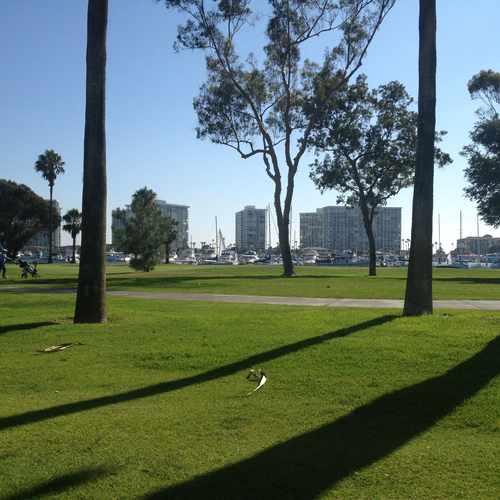 photo of Coronado Bayside Grill at 2000 Visalia Row Coronado CA 92118