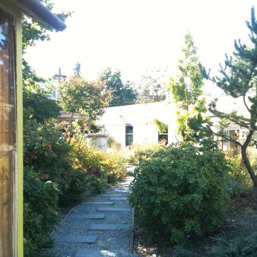 photo of Cascade P-Patch at 224 Minor Avenue North Seattle WA 98109