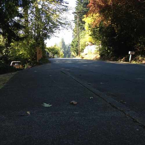 photo of Sidewalk Ends at 10719 Ross Road Bothell WA 98011