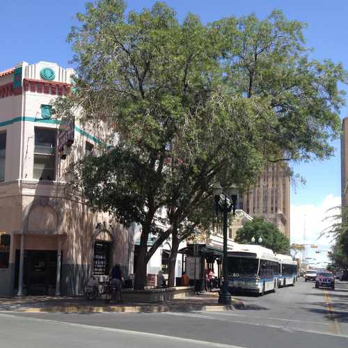 photo of #Eagle Estates Homeowners Association, El Paso, Tx USA at 300 North Mesa Street El Paso TX 79901