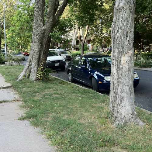 photo of Street Parking at 3916 Campbell Street Kansas City MO 64110