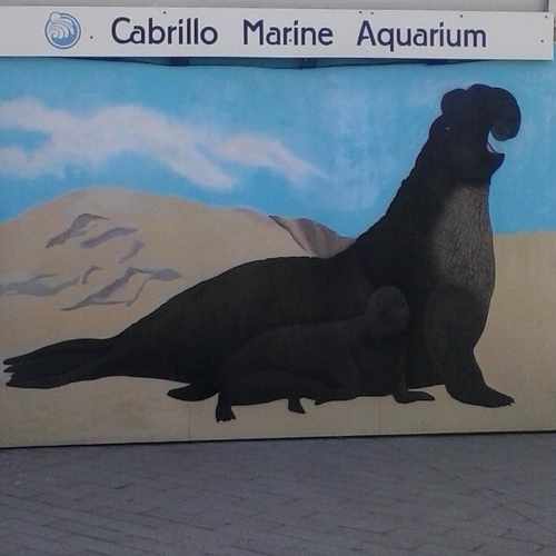 photo of cabrillo marine aquarium at 3720 Stephen M White Dr San Pedro CA 90731