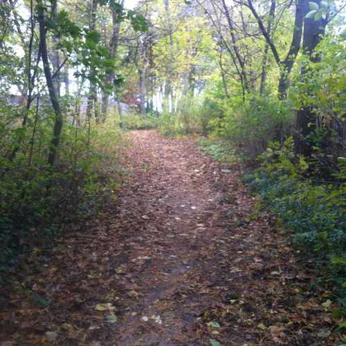 photo of Rose St. Access at 1073 Peninsula Drive Traverse City MI 49686