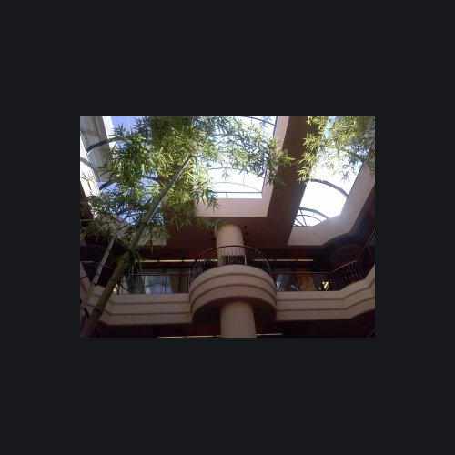 photo of The Atrium, Walnut Creek at 1981 North Broadway Walnut Creek CA 94596