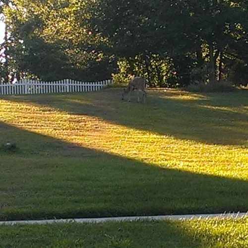 photo of 14903 Sierra Ridge Lane at 14902 Sequoia Hill Lane Silver Spring MD 20906