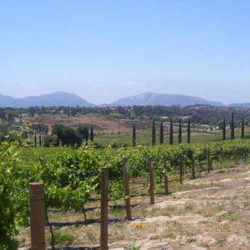photo of Fallbrook Winery at 2554 Vía Rancheros Fallbrook CA 92028