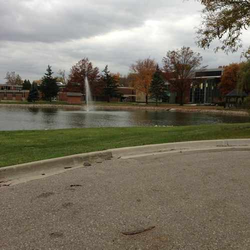 photo of Madonna College at Van De Vyer Drive Livonia MI 48150