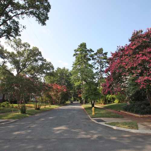 photo of Ashland Ave at Belvedere Avenue Charlotte NC 28205