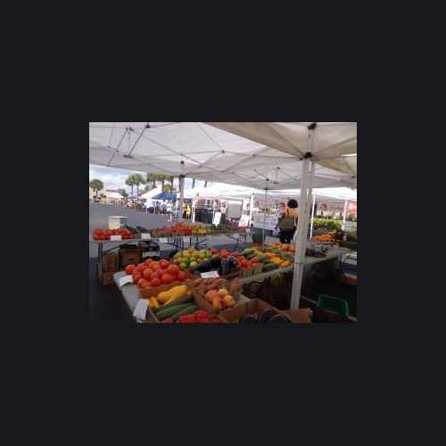photo of Downtown Melbourne Farmer's Market at 1824 South Harbor City Boulevard Melbourne FL 32901