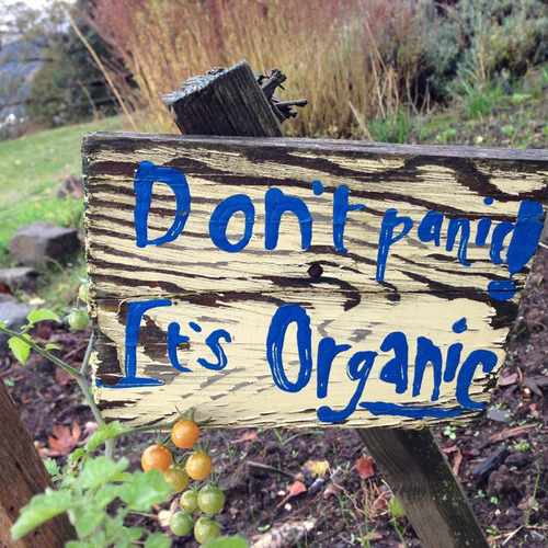 photo of Student Led Unity Garden (SLUG) at 6698 N McKenna Ave Portland OR 97203