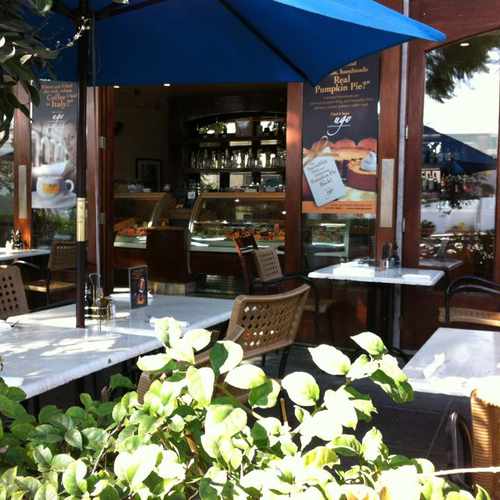 photo of Ugo at 3865 Cardiff Avenue Culver City CA 90232