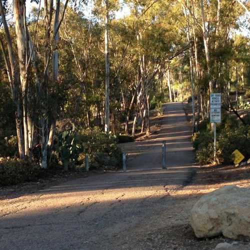 photo of Hendrix Pond & Park at 10529 Caminito Sopadilla San Diego CA 92131