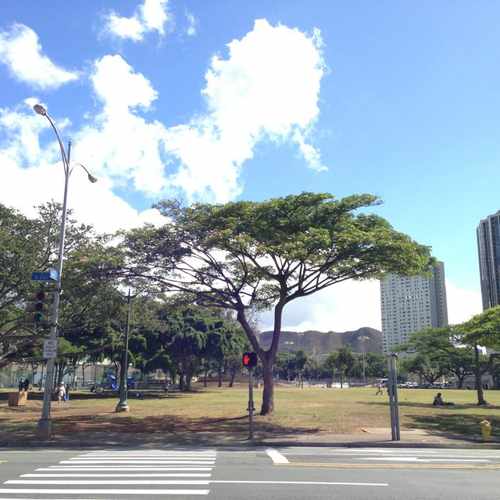 photo of Aala Park at 999 Iwilei Road Honolulu HI 96817