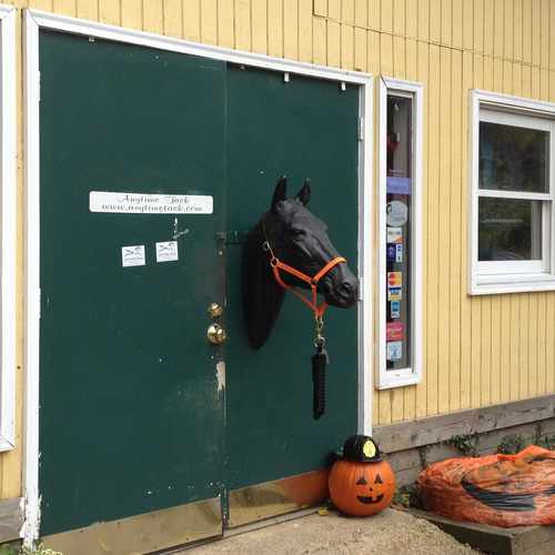 photo of Woodland Tack Store DBA Anytime Tack at 16301 New Hampshire Avenue Silver Spring MD 20905