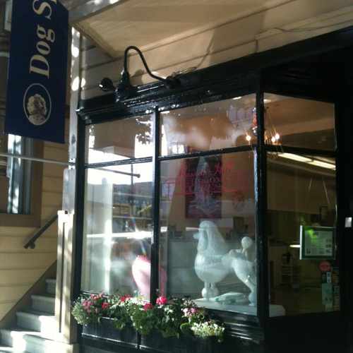photo of Russian Hill Dog Grooming Express at 2178 Bush St San Francisco CA 94115