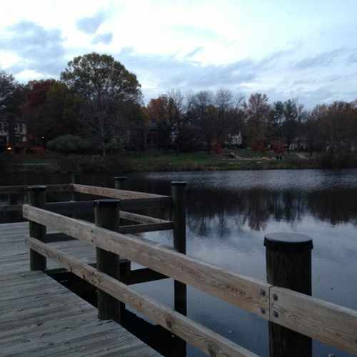 photo of Turtle Pond at 5458 Wildwind Place Columbia MD 21045