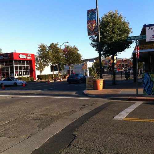 photo of Pet Choice at 4203 MacArthur Boulevard Oakland CA 94619