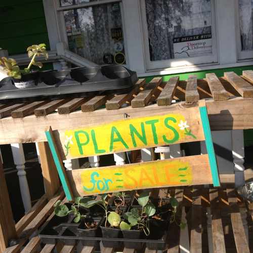 photo of Dandelion Communitea Cafe - Organic Vegetarian Teahouse at 618 North Thornton Avenue Orlando FL 32803