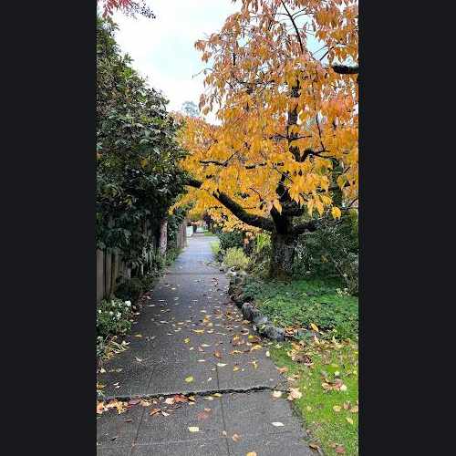 photo of Howell Park at 1726 Howell Place Seattle WA 98122