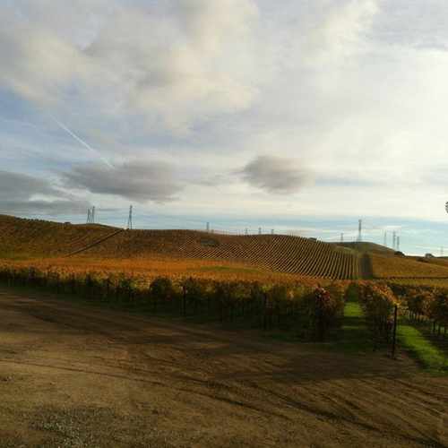 photo of Arroyo Bike Trail at 5999 Marina Avenue Livermore CA 94550