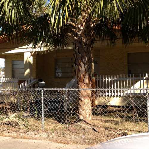 photo of Typical Home In Seminole Heights at 6804 North Branch Avenue Tampa FL 33604