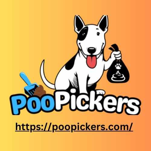 photo of United States at 4559 Dehesa Court Las Vegas NV 89122