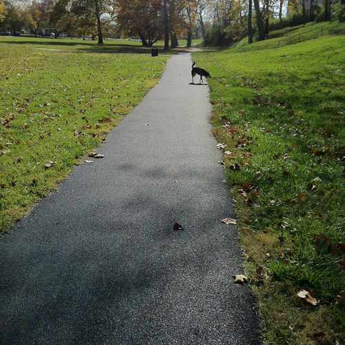 photo of Gillham Park walking trail at 4500 Gillham Road Kansas City MO 64110