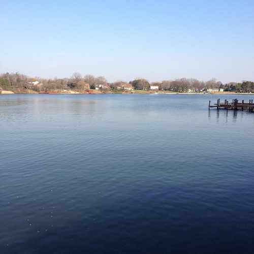 photo of Doane's Landing at 590 Main Street Belleville MI 48111