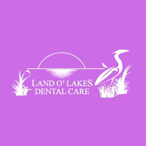 photo of Land O' Lakes Dental Care at 21533 Village Lakes Shopping Center Drive Land O' Lakes FL 34639