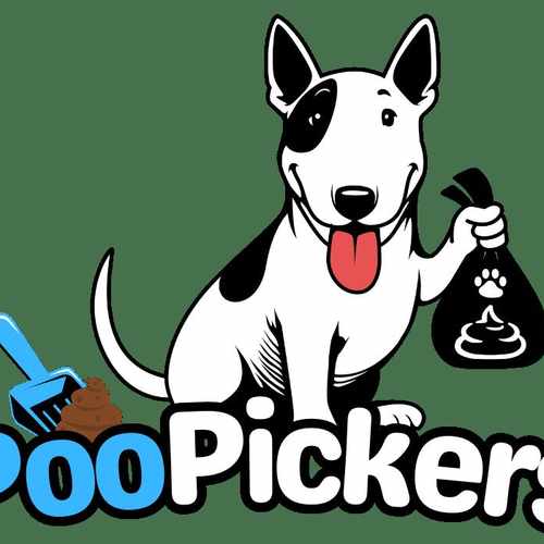 photo of United States at 4559 Dehesa Court Las Vegas NV 89122